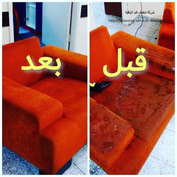 شركة تنظيف في الباهية