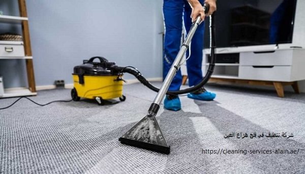 شركة تنظيف في فلج هزاع العين