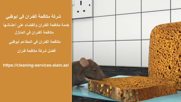 شركة مكافحة الفئران في ابوظبي