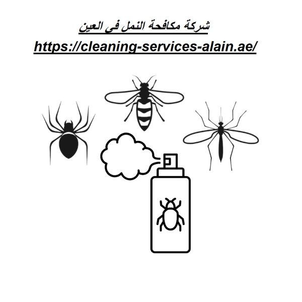 شركة مكافحة النمل في العين
